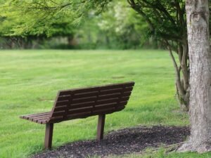 Read more about the article How Grief Affects Your Body: The Silent Impact You Can’t See But Definitely Feel